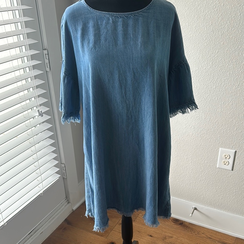 Denim Blue Frayed Hem Dress